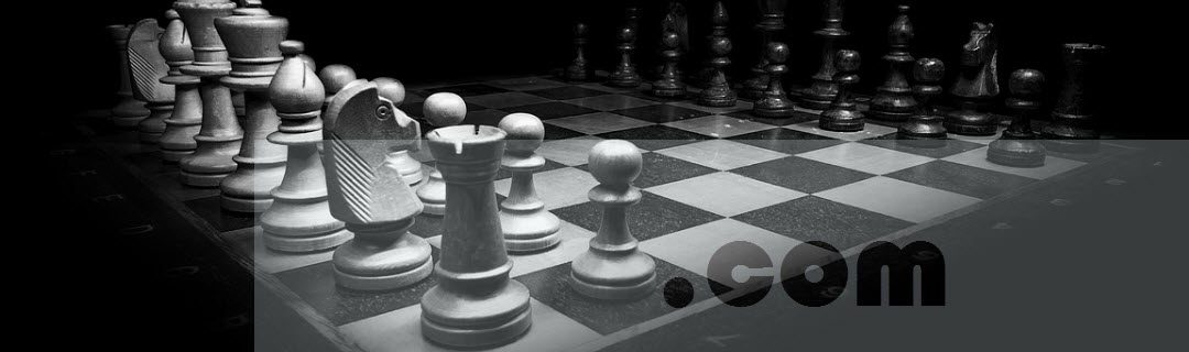 NYCCL.com becomes winning strategy for promoting chess